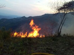 Se activa alerta en municipios de Cundinamarca y Boyacá por incendios forestales