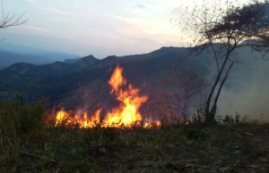 Se activa alerta en municipios de Cundinamarca y Boyacá por incendios forestales