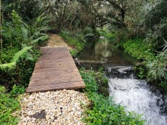 Se inicia investigación por desviación de quebrada en La Calera para ecoturismo