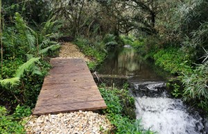 Se inicia investigación por desviación de quebrada en La Calera para ecoturismo