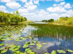 Participe del curso de Sostenibilidad Ambiental promovido por la Alcaldía de Funza