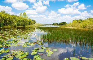 Participe del curso de Sostenibilidad Ambiental promovido por la Alcaldía de Funza