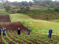 Experiencias agroecológicas de IED de Fosca, elegidas para participar en simposio de investigación e innovación