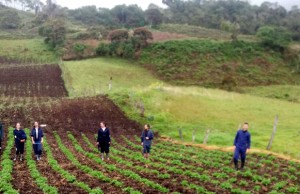 Experiencias agroecológicas de IED de Fosca, elegidas para participar en simposio de investigación e innovación