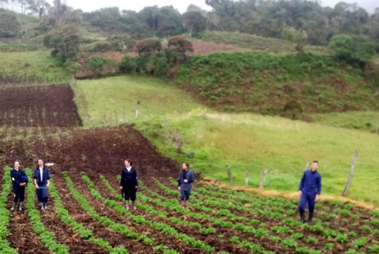 Experiencias agroecológicas de IED de Fosca, elegidas para participar en simposio de investigación e innovación