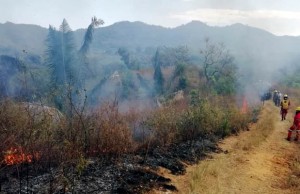 Continúa atención de incendios forestales en Cundinamarca
