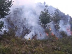 Continúan incendios forestales en municipios de Cundinamarca
