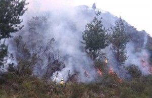 Continúan incendios forestales en municipios de Cundinamarca