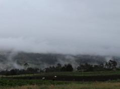 Prepárese para la segunda temporada de lluvias