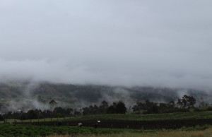Prepárese para la segunda temporada de lluvias