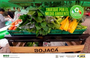 Gran jornada Cambio Verde en Bojacá