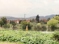 Parque Ecológico Humedal Gualí abre sus puertas