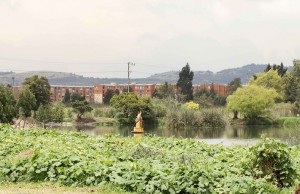 Parque Ecológico Humedal Gualí abre sus puertas