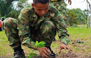 Se siembran 320 árboles en áreas afectadas por incendios forestales en la Base Militar de Tolemaida