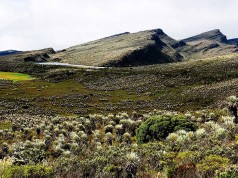 Más de $32.000 millones invertidos en la protección de los páramos de la región central del país