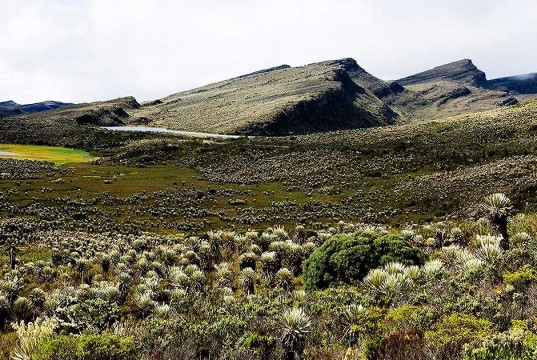 Más de $32.000 millones invertidos en la protección de los páramos de la región central del país