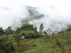 Apoyos económicos a agricultores afectados por heladas anunció gobierno departamental