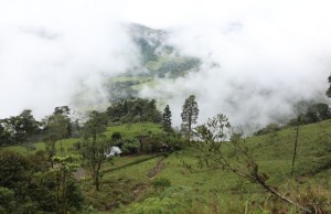 Apoyos económicos a agricultores afectados por heladas anunció gobierno departamental