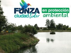 Gran siembra de árboles en el municipio de Funza