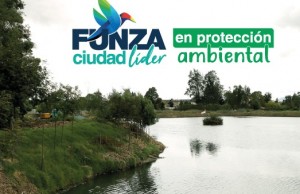 Gran siembra de árboles en el municipio de Funza