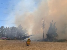 Incendio en la vereda Siete Trojes, sector El Papayo en Funza
