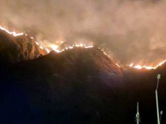 Controlado incendio forestal en Ubalá y se trabaja para mitigar el de Quetame