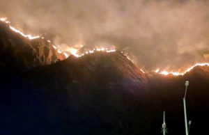 Controlado incendio forestal en Ubalá y se trabaja para mitigar el de Quetame