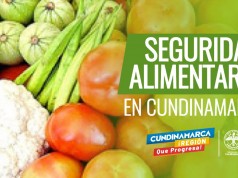 Control a la producción y distribución de alimentos en Cundinamarca