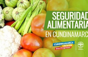 Control a la producción y distribución de alimentos en Cundinamarca
