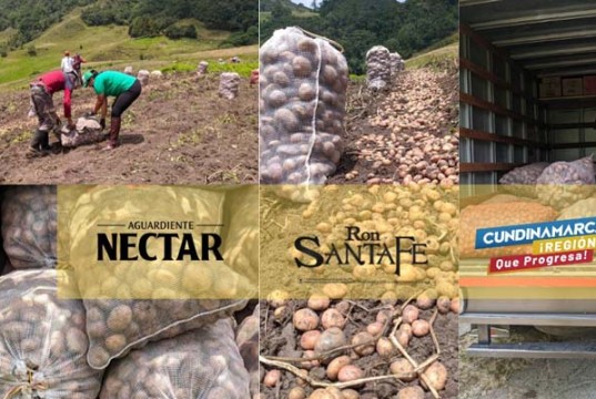 Gobernación y empresa de licores destinaron vehículos de carga para impulsar el agro cundinamarqués