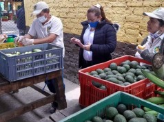 Ciclos cortos de comercialización para reactivar el sector agrícola