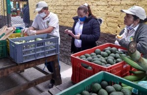 Ciclos cortos de comercialización para reactivar el sector agrícola