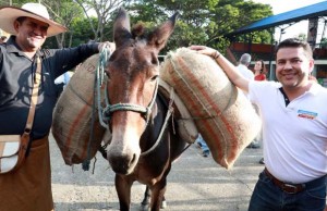 Reactivación económica inicia en el campo: Gobernador de Cundinamarca