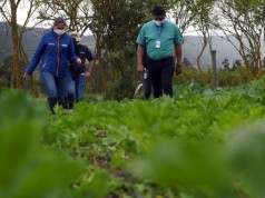 Agricultores reciben sistemas de riego para mejoramiento de producción