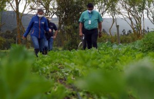 Agricultores reciben sistemas de riego para mejoramiento de producción