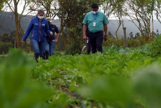 Agricultores reciben sistemas de riego para mejoramiento de producción