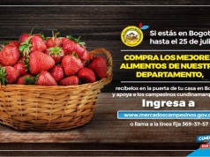 El Mercatón campesino ya está en cuenta regresiva