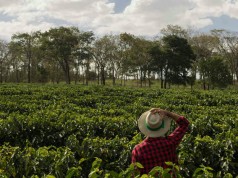 La Unidad de Restitución de Tierras consolida canales de atención a víctimas en el exterior durante la pandemia