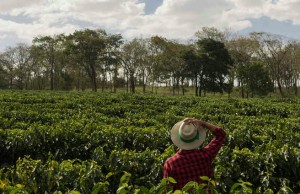 La Unidad de Restitución de Tierras consolida canales de atención a víctimas en el exterior durante la pandemia