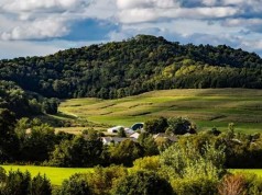 Cundinamarca se consolida como despensa agroalimentaria, saludable, eficiente y competitiva del país