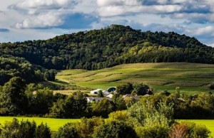 Cundinamarca se consolida como despensa agroalimentaria, saludable, eficiente y competitiva del país