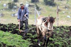 Campesinos de Cundinamarca conocieron resultados del Programa de Proyectos Productivos de la Unidad de Restitución de Tierras