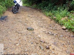 Diez corredores viales serán intervenidos con rehabilitación y mantenimiento con mano de obra comunal