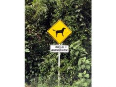 Cundinamarca impulsa la protección y cuidado de los animales de compañía