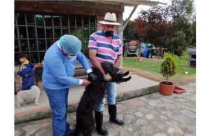 Gran jornada de vacunación de perros y gatos contra la rabia en Cundinamarca