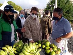 Productores cundinamarqueses lograron ventas por más de $18 millones