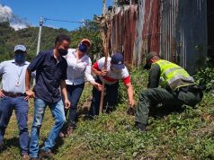 Cuarenta mil árboles protegerán los ecosistemas de Cundinamarca