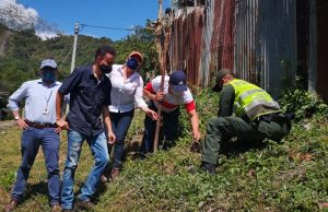 Cuarenta mil árboles protegerán los ecosistemas de Cundinamarca