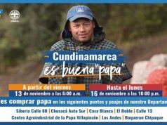 Cundinamarca es buena papa con los productores del departamento