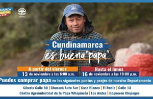 Cundinamarca es buena papa con los productores del departamento